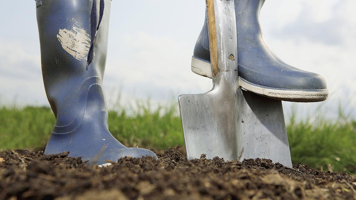 Boot pushing shovel in ground